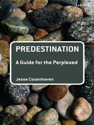 cover image of Predestination
